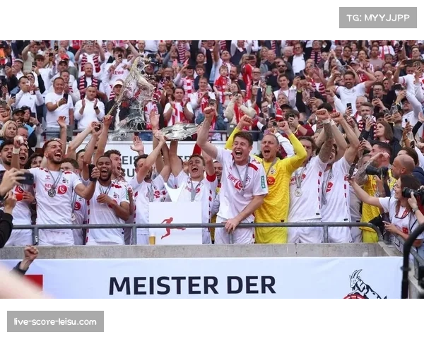 德甲球迷行为获赞 被誉为欧洲最文明球迷群体